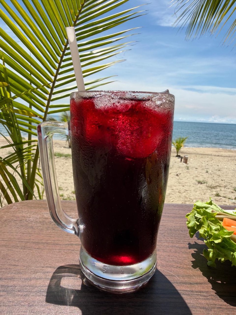Jamaica natural frente al mar